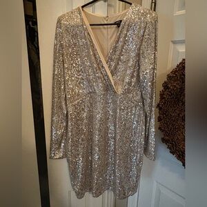 Shimmering Champagne Long Sleeve Dress